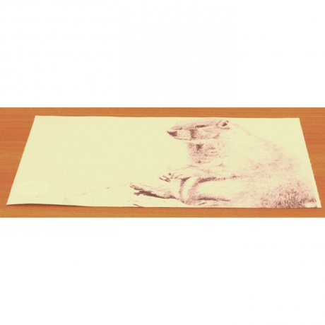 Подставка под горячее полимер Hans&Gretchen, 50