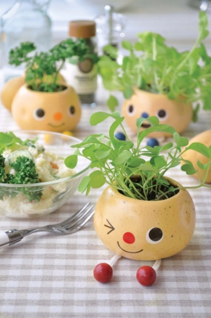 Набор для выращивания руколы Poterinyo красный