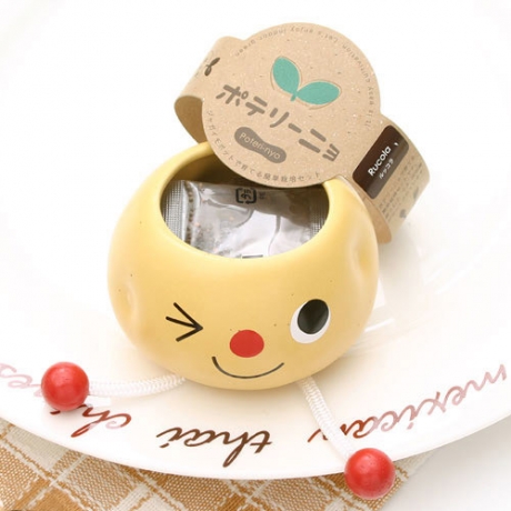 Набор для выращивания руколы Poterinyo красный