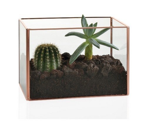 Террариум, 17x10x12 см. Rect Andrea House