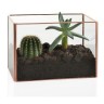 Террариум, 17x10x12 см. Rect Andrea House