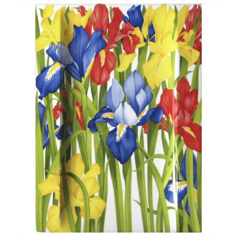 Блюдо сервировочное прямоугольное, 40х29 см. GIARDINI Taitu