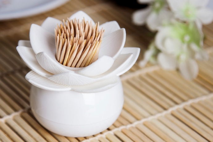 Держатель для зубочисток Lotus, белый, Qualy