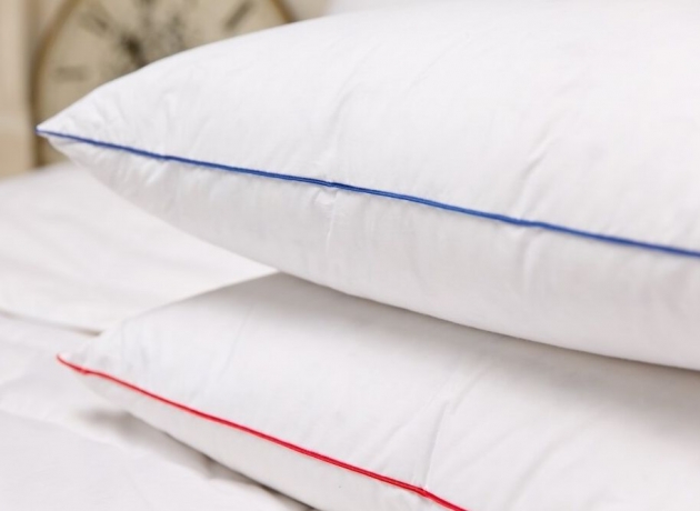 Подушка упругая "Мужской мир" 50х68 (специально для мужчин), из гусиного пуха с внутренней камерой, Natures