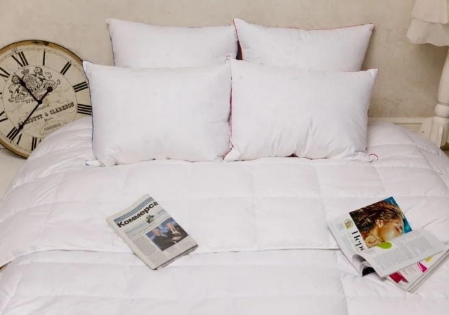 Подушка упругая  "Мужской мир" 68х68 (специально для мужчин), из гусиного пуха с внутренней камерой, Natures