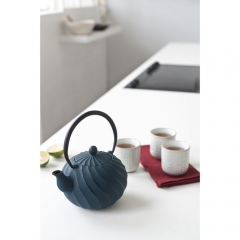 Чайник, 1 л. SONG Beka