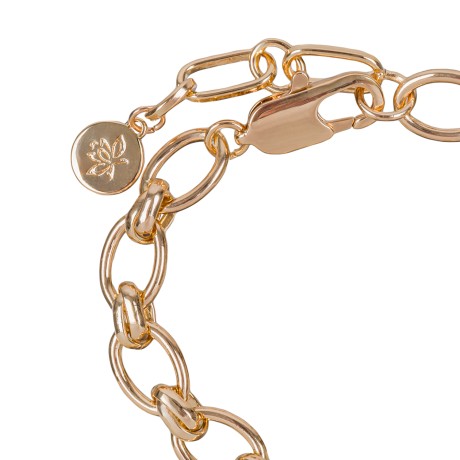 Браслет Cleo Сarabiner