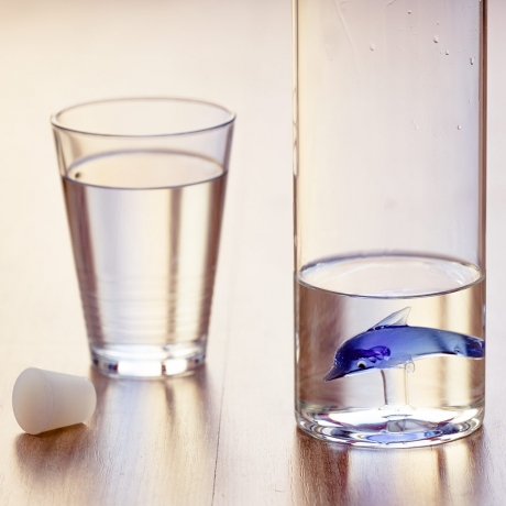 Бутылка для воды Dolphin, 1.2 л. Balvi