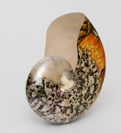 19-006 Ракушка расписная (о.Бали) L