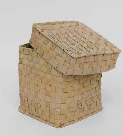 19-006 Ракушка расписная (о.Бали) L