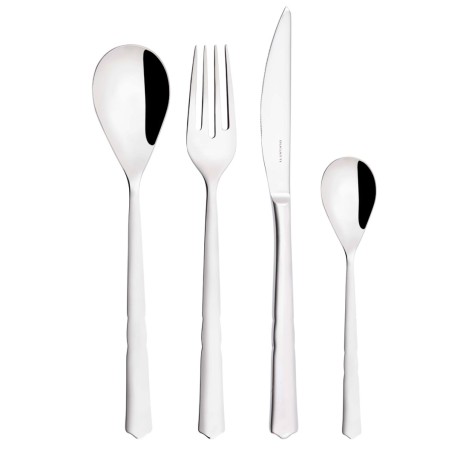 Набор из 24 столовых приборов Neo Bugatti