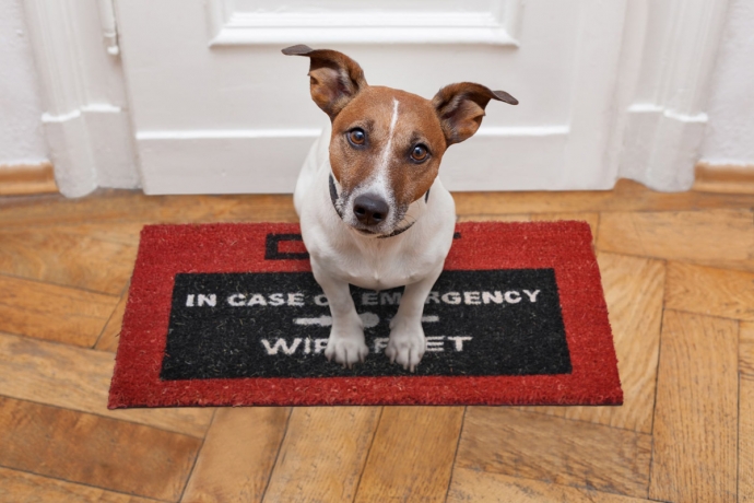 Коврик придверный emergency