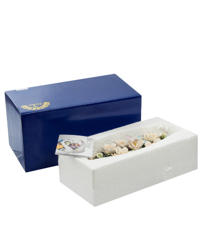 CMS-33/59 Композиция "Лодка с цветами" (Pavone)