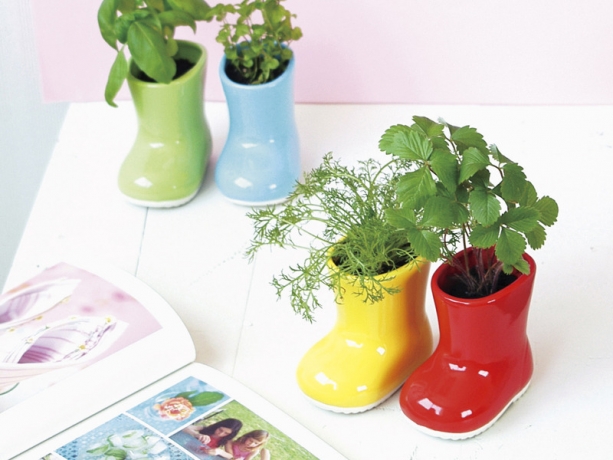 Набор для выращивания лесной земляники Baby Boots красное