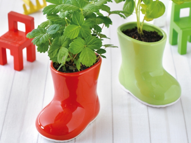 Набор для выращивания лесной земляники Baby Boots красное