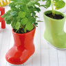 Набор для выращивания лесной земляники Baby Boots красное