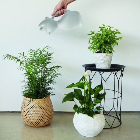 Лейка для цветов Meow 2 л. серая, Balvi