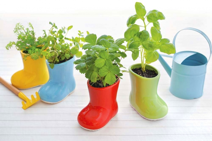 Набор для выращивания ромашки Baby Boots желтое