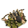 WS-716 Статуэтка "Паук Тарантул"