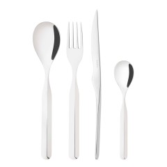 Набор из 24 столовых приборов Vidal Bugatti