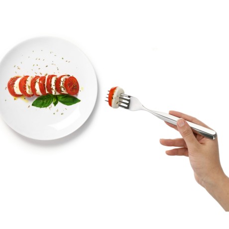 Набор из 24 столовых приборов Vidal Bugatti