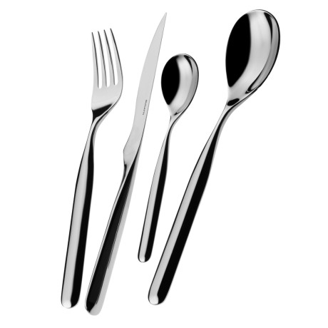 Набор из 24 столовых приборов Vidal Bugatti