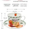 Чашка с блюдцем Яблоко, 0.48 л. Maxwell & Williams