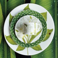 Блюдо сервировочное Leaf, 31,5 см. FREEDOM Taitu