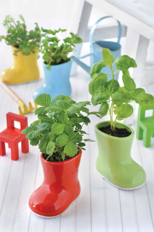 Набор для выращивания базилика Baby Boots зеленое