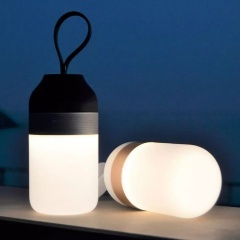 Колонка беспроводная Colors The Mini, черная, Halo Design