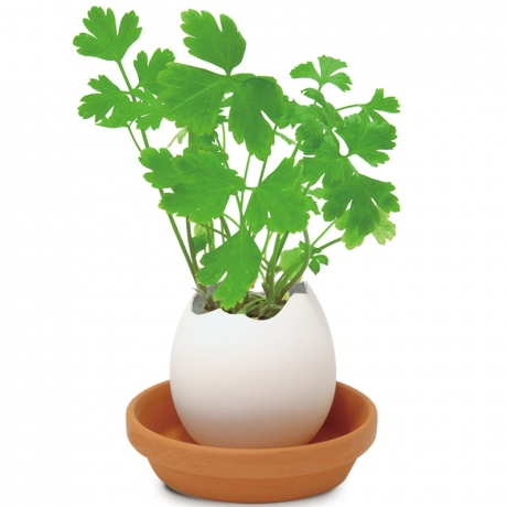 Набор для выращивания Eggling итальянская петрушка