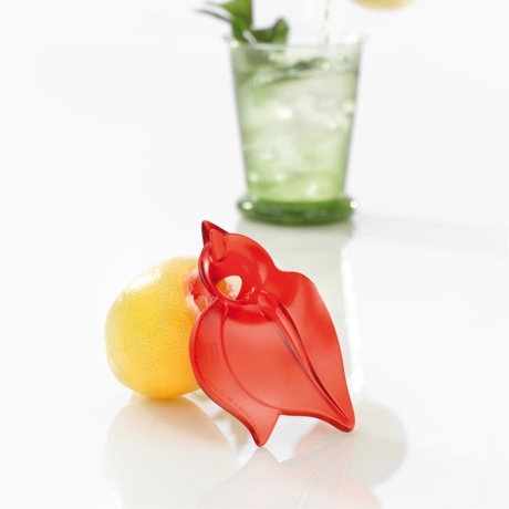 Сквизер JUICY Koziol, белый