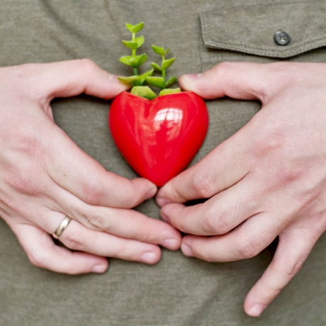 Набор мини-кашпо heart красный/белый/черный