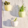 Набор мини-кашпо pocket желтый/белый/зеленый