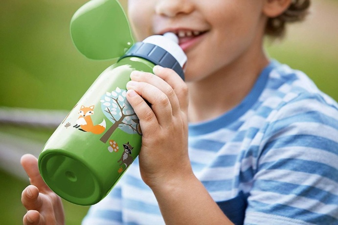 Термофляжка, 0,35 л. ISO2GO Лес, EMSA