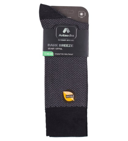 Носки мужские Dark Breeze ASUM-0010 40-42 черно-серый (Artsocks)