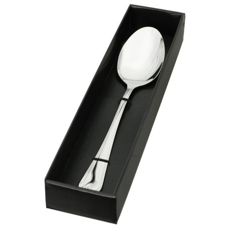 Сервировочная ложка PRETORIA Face