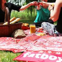 Все для пикника