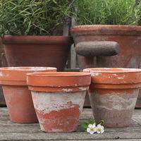 Кашпо и плантеры