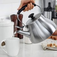 Чайники для плиты