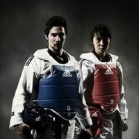 Единоборства