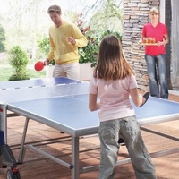 Настольный теннис